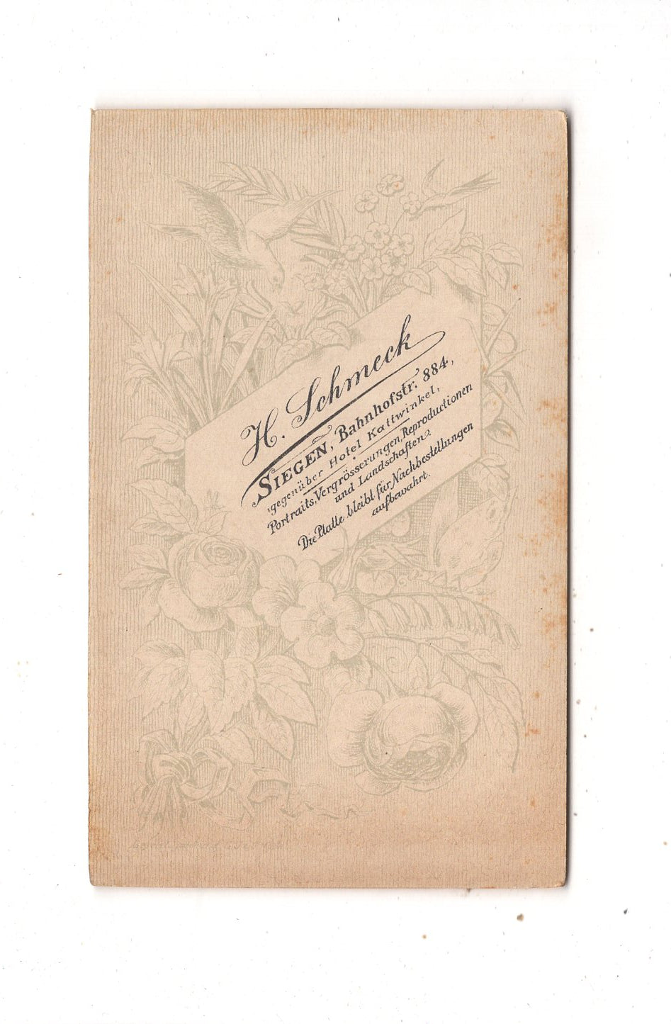 Fotografie Damenportrait - Siegen 1890er