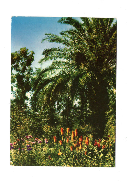 Ansichtskarte Batumi Botanical Gardens / Georgien