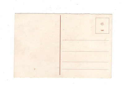 Ansichtskarte Glückwünsche / Glückwunsch zum Geburtstag / L1-62