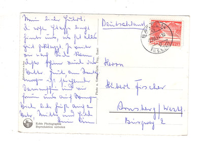 Ansichtskarte Basel / Pfalz am Rhein und Münster / Schweiz