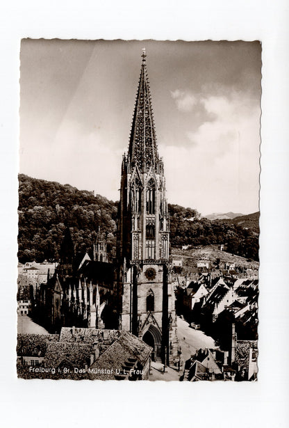 Ansichtskarte Freiburg im Breisgau / Das Münster U. L. Frau