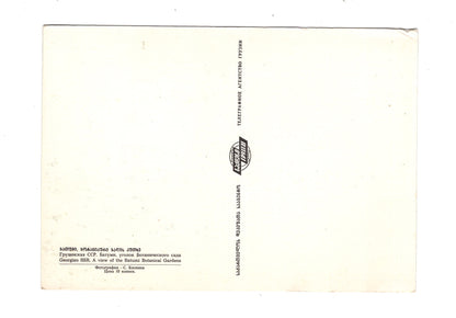 Ansichtskarte Batumi Botanical Gardens / Georgien