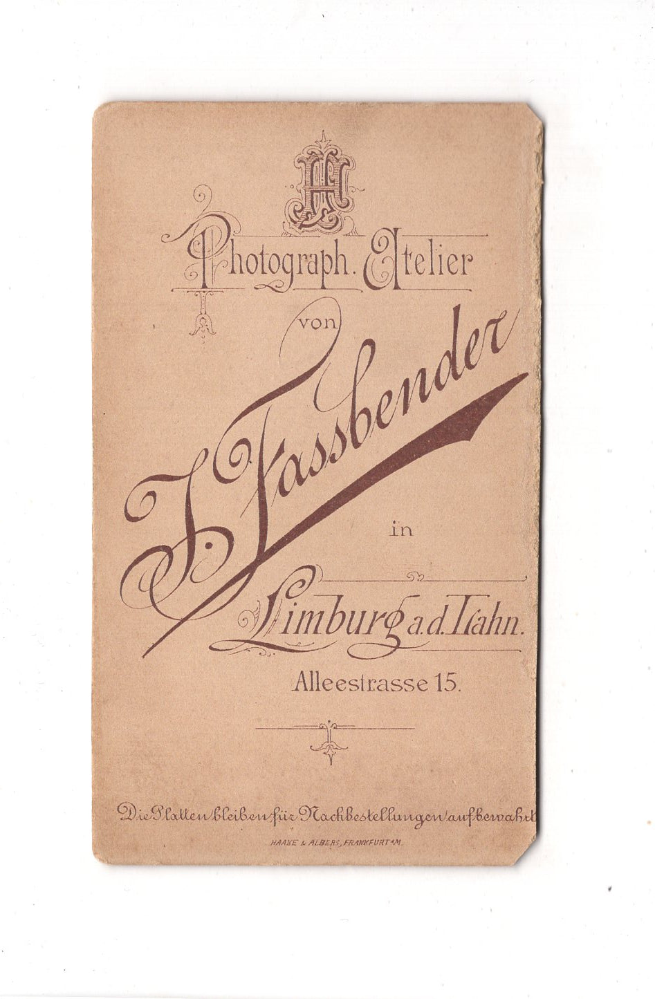 Fotografie Damenportrait - Limburg an der Lahn 1890er / CDV C1-10