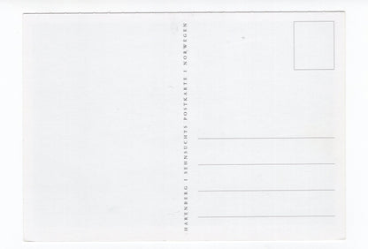 Ansichtskarte Siedlung im Setestal / Aust-Agder / Norwegen