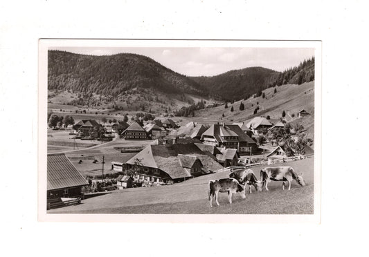 Ansichtskarte Menzenschwand / Hochschwarzwald / Teilansicht Hinterdorf / K1-47