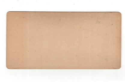 Fotografie Burg Rheinstein am Rhein