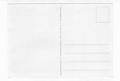 Ansichtskarte Bei Valle im Setestal / Aust-Agder / Norwegen