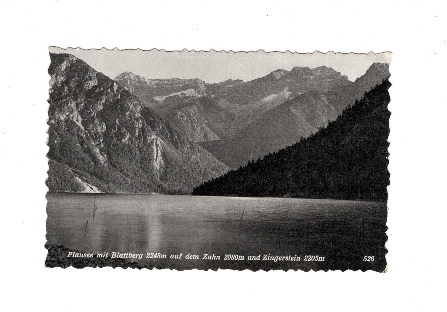 Ansichtskarte Plansee mit Blattberg +++