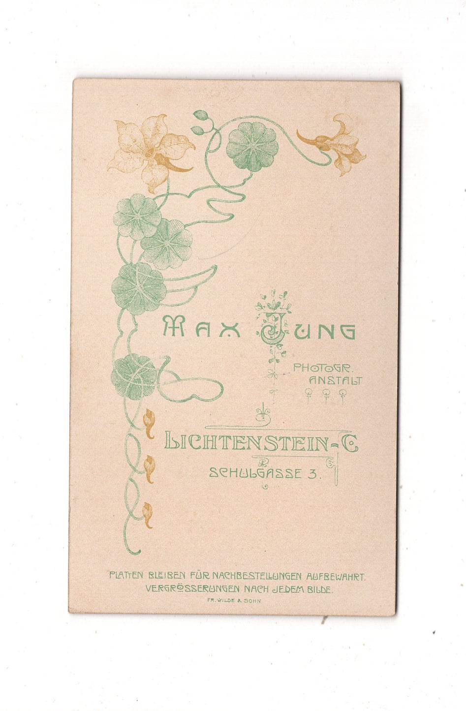 Fotografie Feine Dame - Lichtenstein in Sachsen 1890er / CDV L1-31
