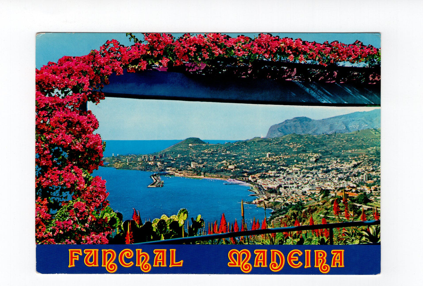 Ansichtskarte Funchal / Madeira / Portugal