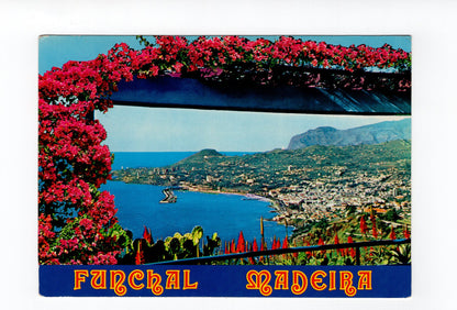 Ansichtskarte Funchal / Madeira / Portugal