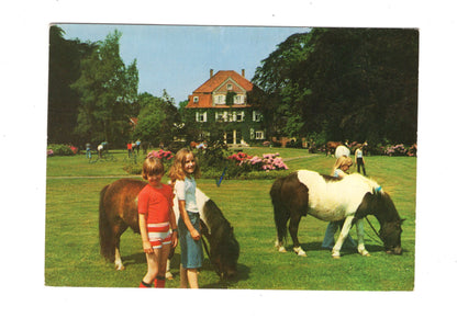Ansichtskarte Ponyhof Schulze Schleithoff / Havixbeck bei Münster