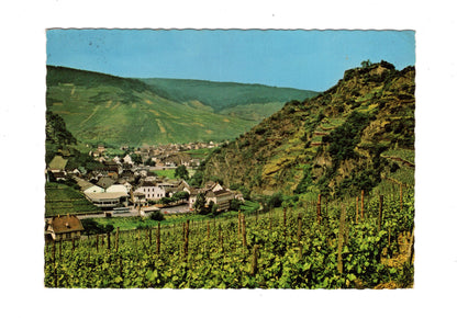 Ansichtskarte Mayschoß an der Ahr mit Ruine Saffenburg