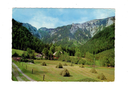 Ansichtskarte Oberwallner´s Gastwirtschaft / Tirol bei Neuberg / Steiermark / Österreich