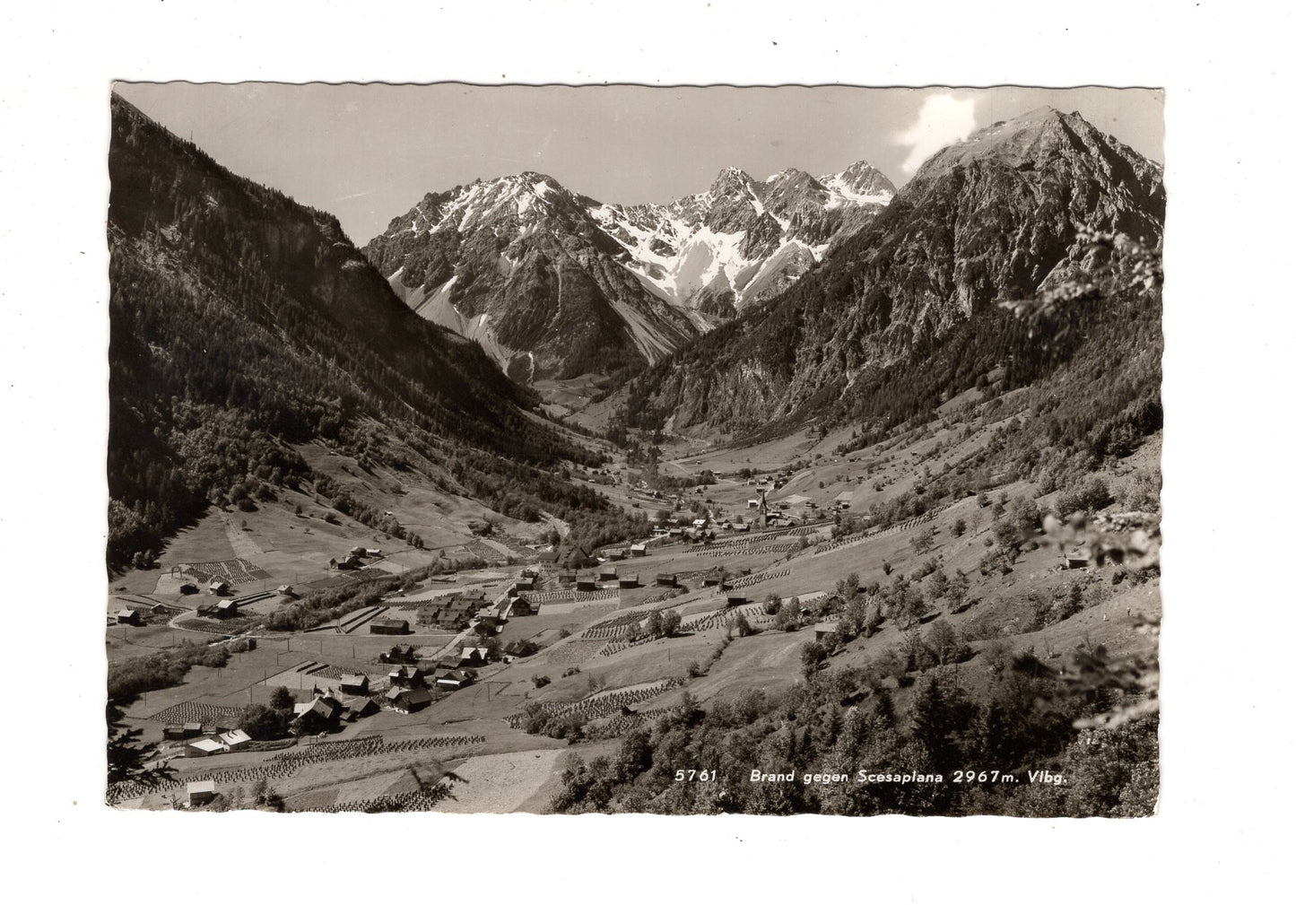 Ansichtskarte Brand gegen Scesaplana / Vorarlberg / Österreich / N1-70