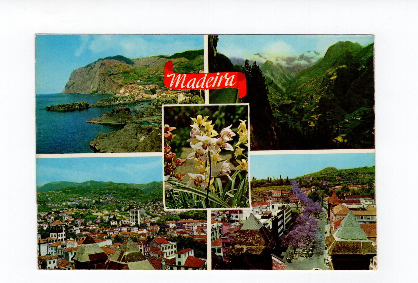 Ansichtskarte Madeira / Portugal