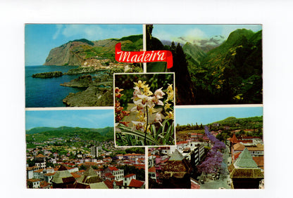 Ansichtskarte Madeira / Portugal