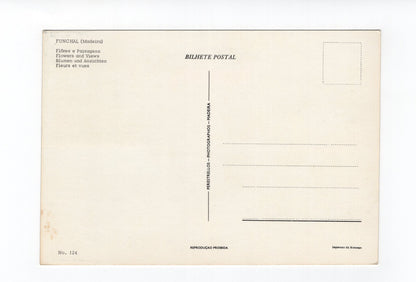 Ansichtskarte Madeira / Portugal