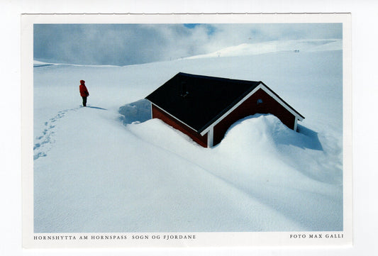 Ansichtskarte Hornshytta am Hornspass / Sogn og Fjordane / Norwegen