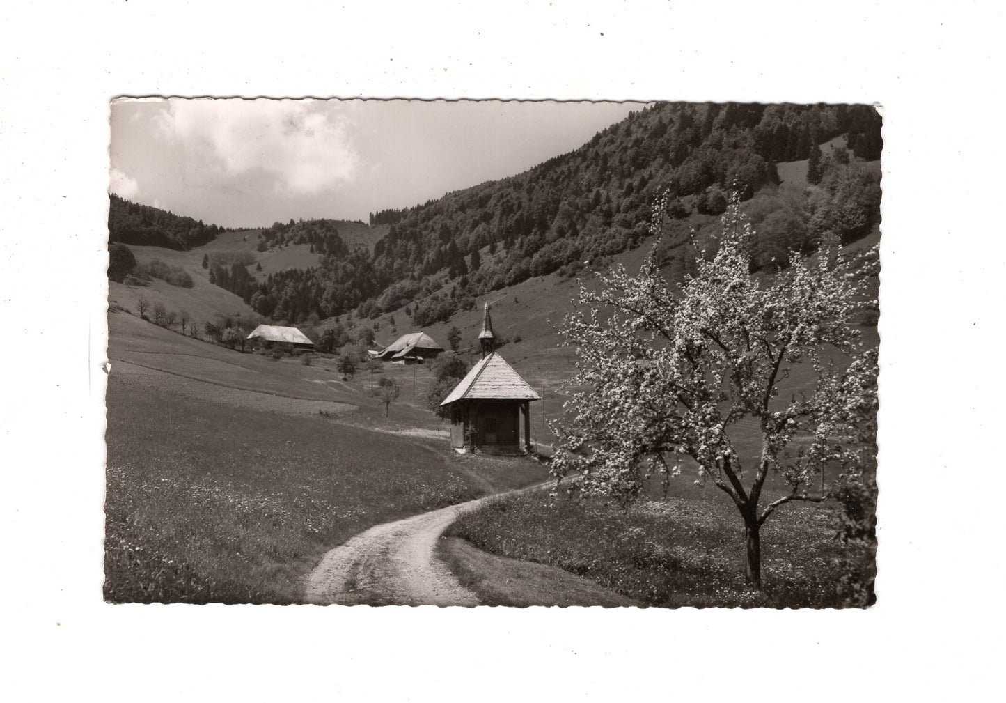 Ansichtskarte Aitern-Rollsbach bei Schönau / südl. Schwarzwald / K1-48