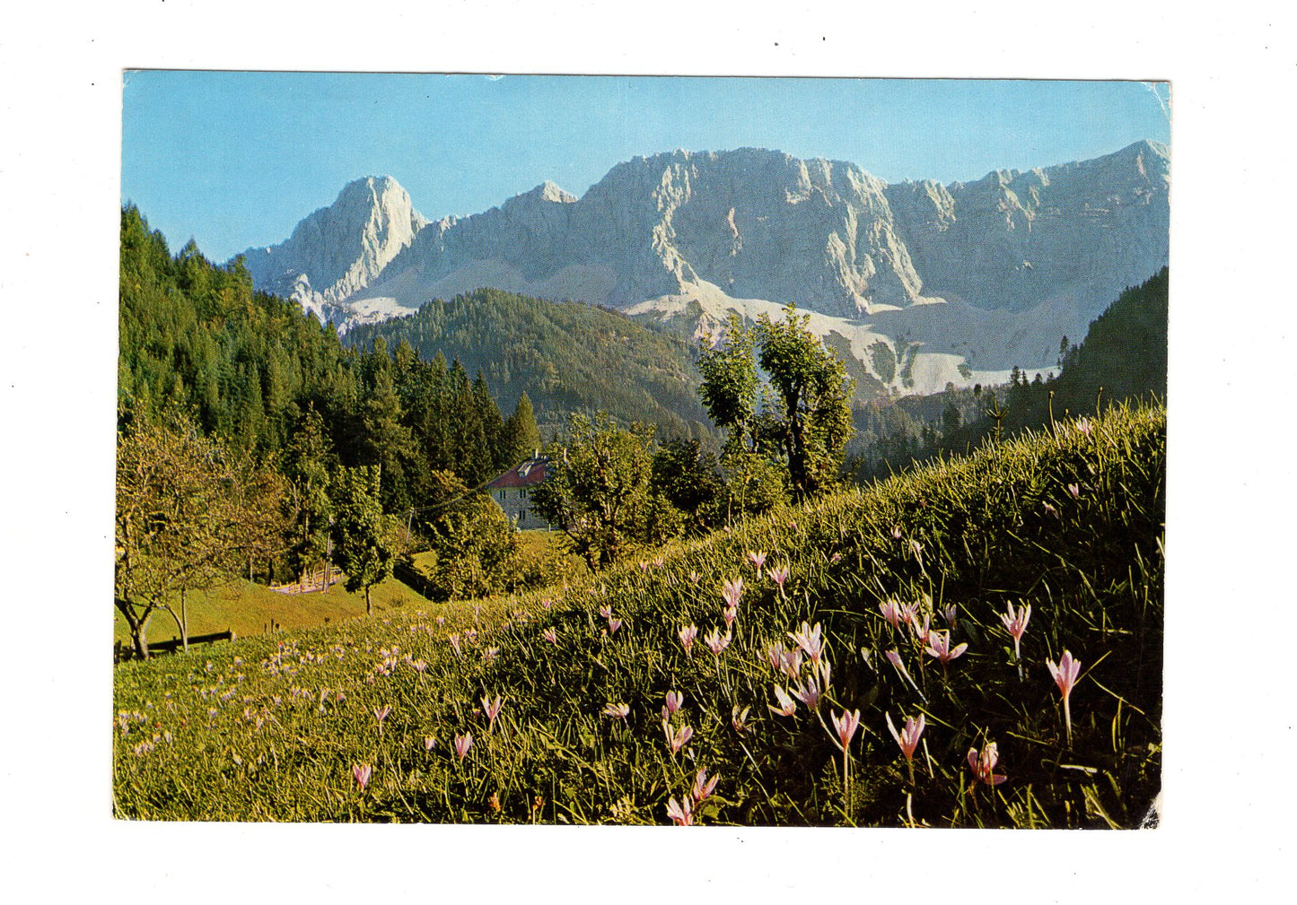 Ansichtskarte Karawanken / Kärnten / Österreich