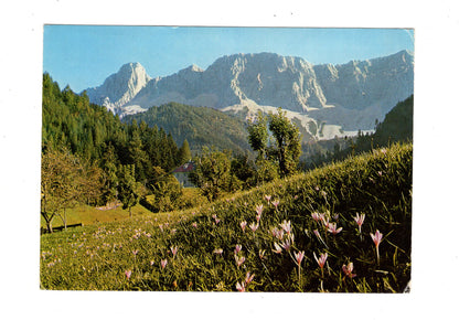 Ansichtskarte Karawanken / Kärnten / Österreich