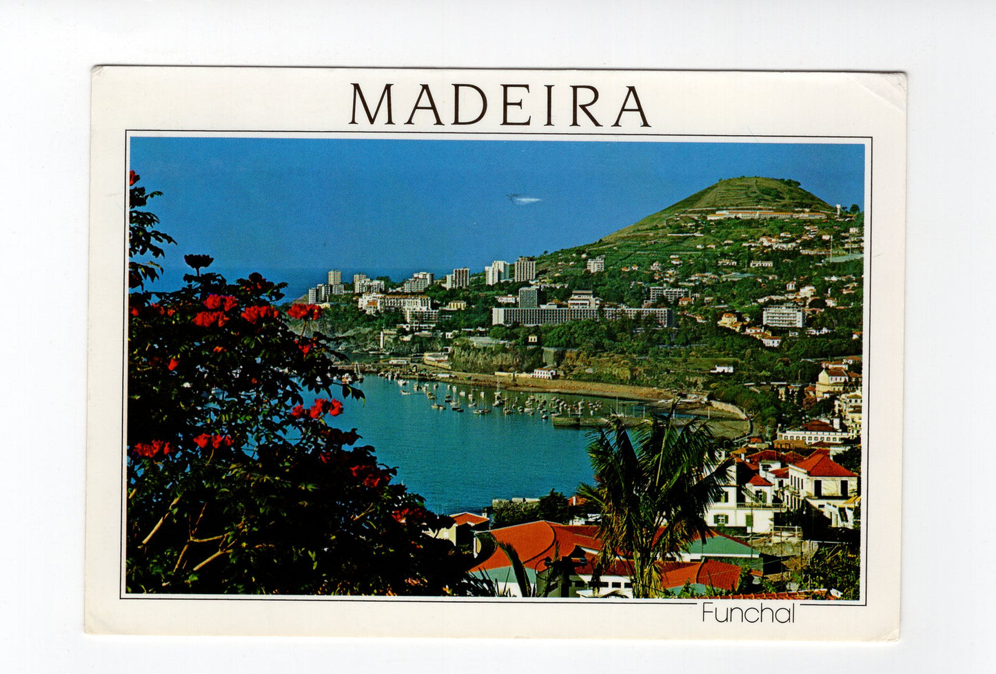 Ansichtskarte Funchal / Madeira / Portugal