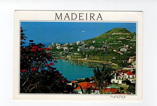 Ansichtskarte Funchal / Madeira / Portugal