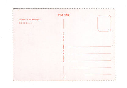 Ansichtskarte The bull cart in Central Java / Indonesien