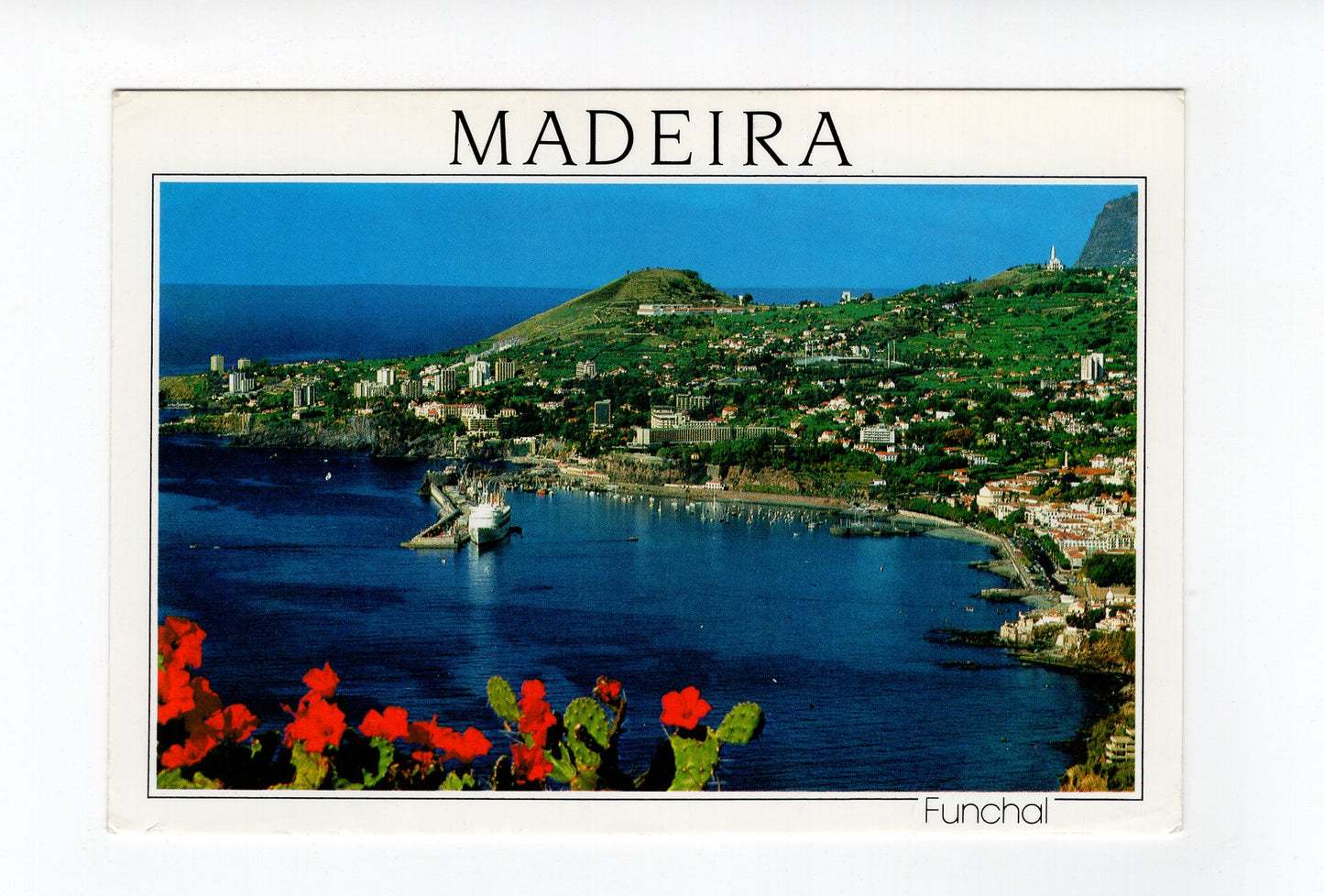 Ansichtskarte Funchal / Madeira / Portugal