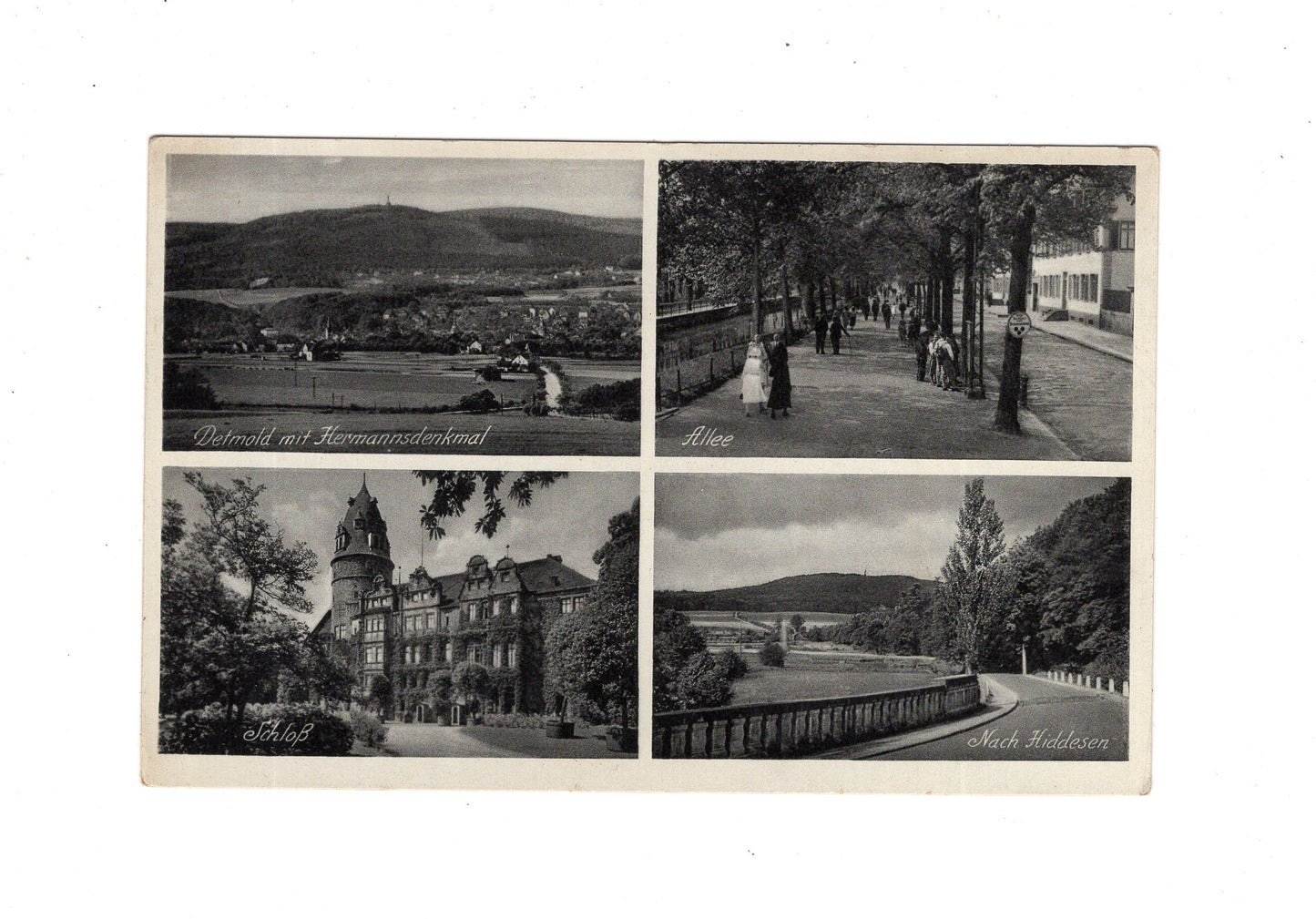 Ansichtskarte Detmold / Schloss / Allee +++