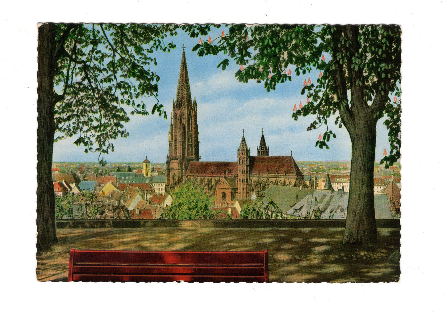 Ansichtskarte Freiburg / Schwarzwald / Blick auf das Münster / G1-64