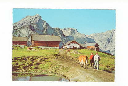 Ansichtskarte Gnadenwald / Walderalm / Tirol / Österreich