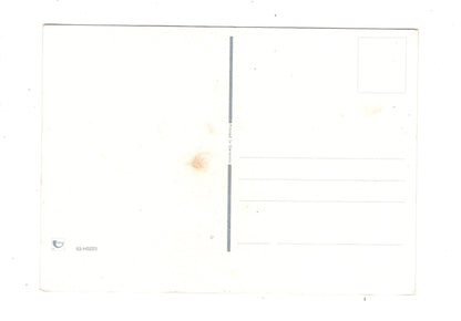 Ansichtskarte Glückwünsche / Glückwunsch zum Namenstag / L1-62