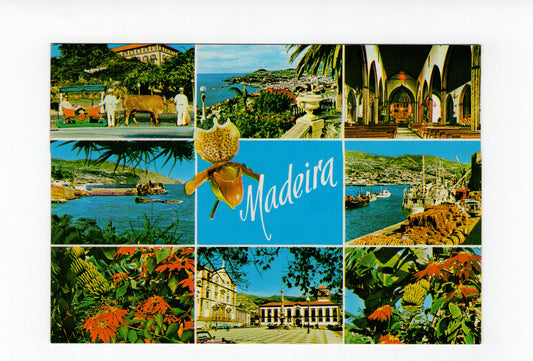 Ansichtskarte Madeira / Portugal
