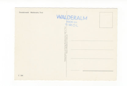 Ansichtskarte Gnadenwald / Walderalm / Tirol / Österreich