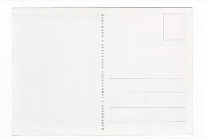 Ansichtskarte Abendstimmung bei Stave / Vesteralen / Norwegen