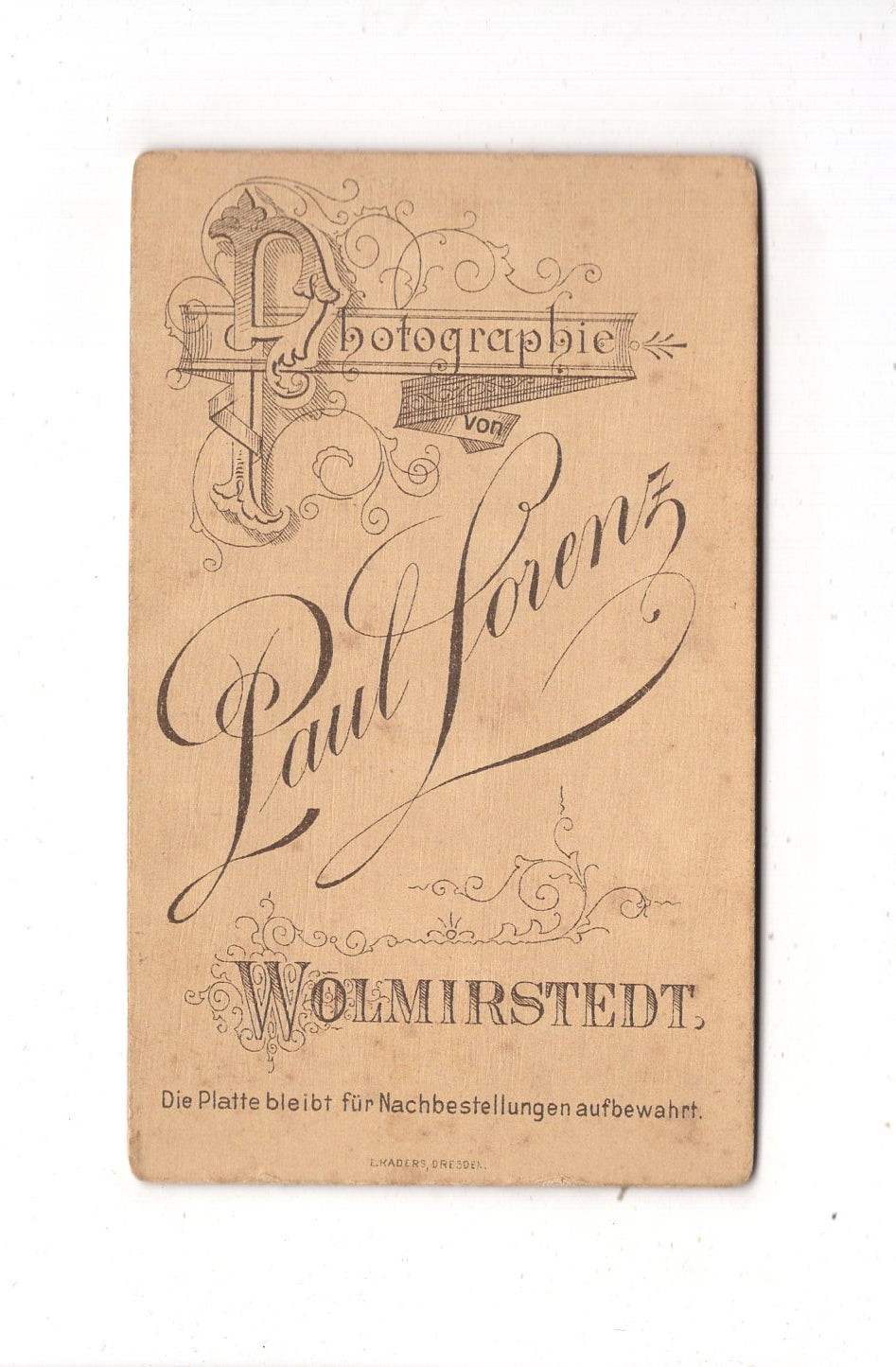 Fotografie Feine Dame - Wolmirstedt um 1890 / CDV L1-31