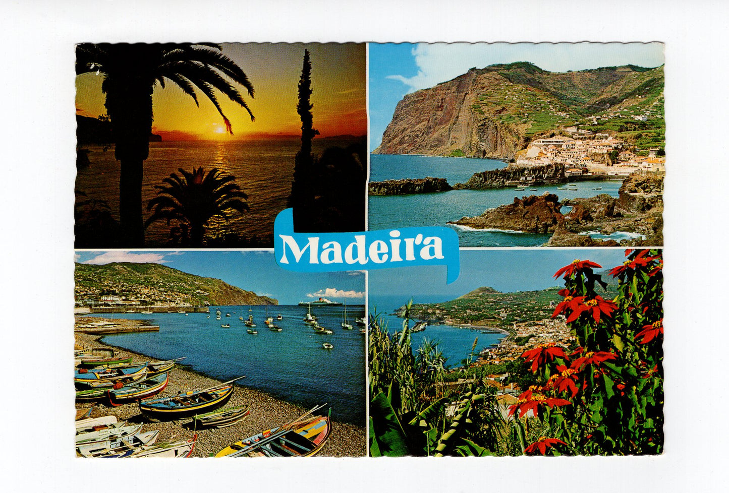 Ansichtskarte Madeira / Portugal