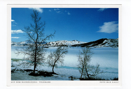 Ansichtskarte Auf dem Haukelifjell / Telemark / Norwegen