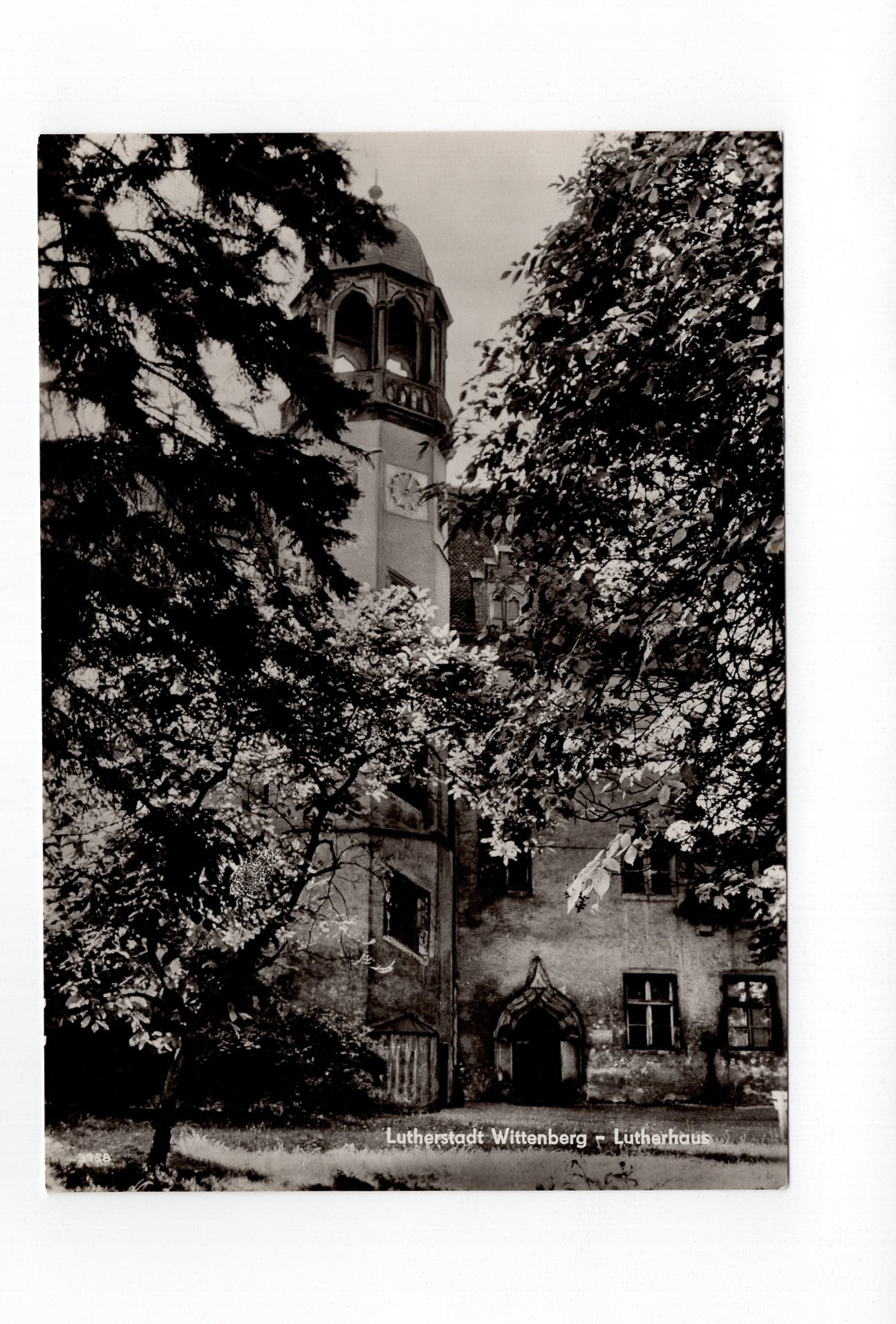 Ansichtskarte Lutherstadt Wittenberg / Lutherhaus