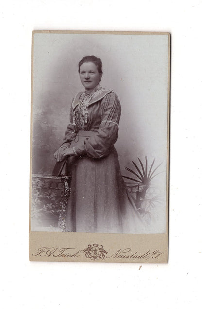 Fotografie Feine Dame - Neustadt in Sachsen um 1900 / CDV L1-31