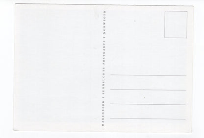 Ansichtskarte Auf dem Haukelifjell / Telemark / Norwegen