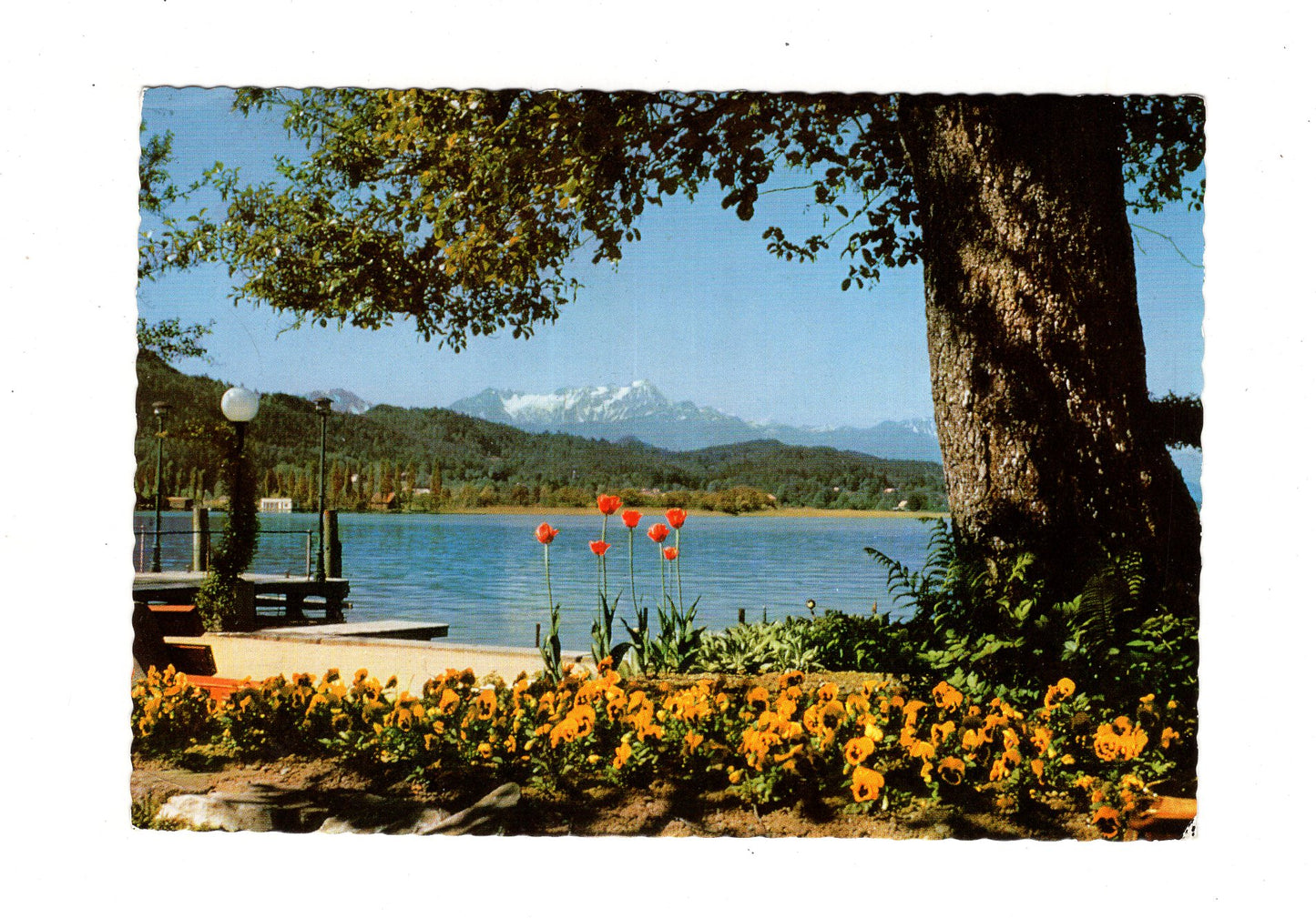 Ansichtskarte Pörtschach am Wörthersee / Blumenstrand / Kärnten / Österreich