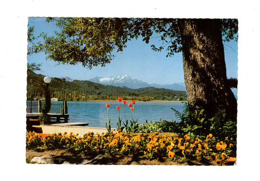 Ansichtskarte Pörtschach am Wörthersee / Blumenstrand / Kärnten / Österreich