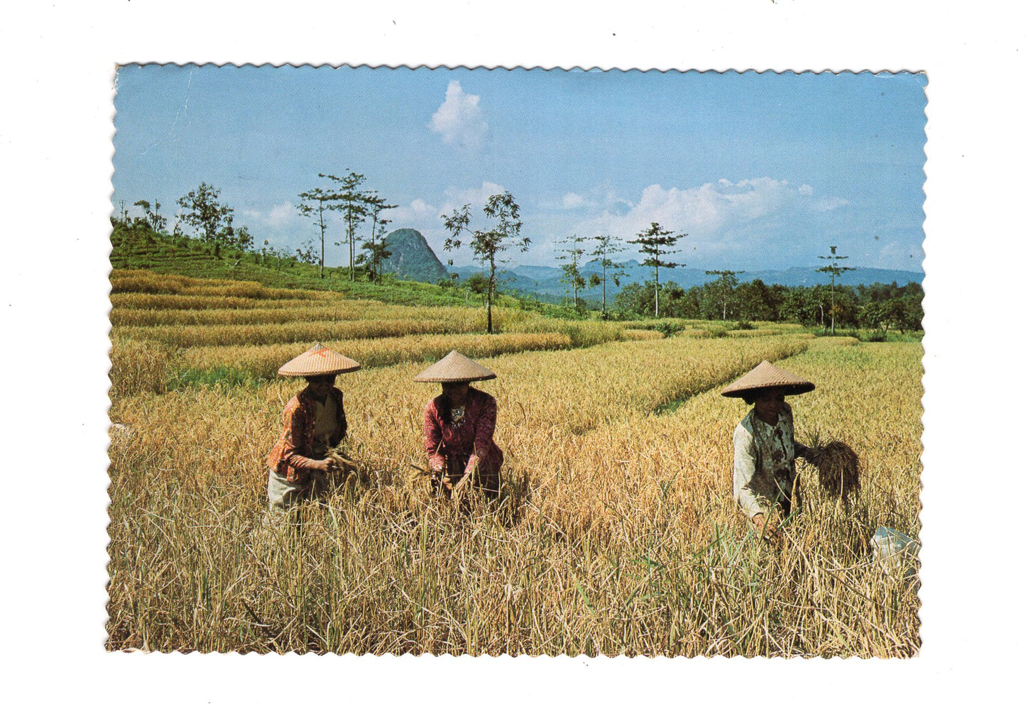 Ansichtskarte Western Java / Indonesien