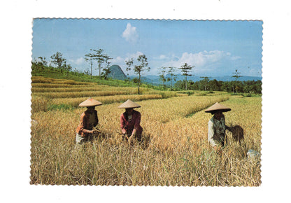 Ansichtskarte Western Java / Indonesien