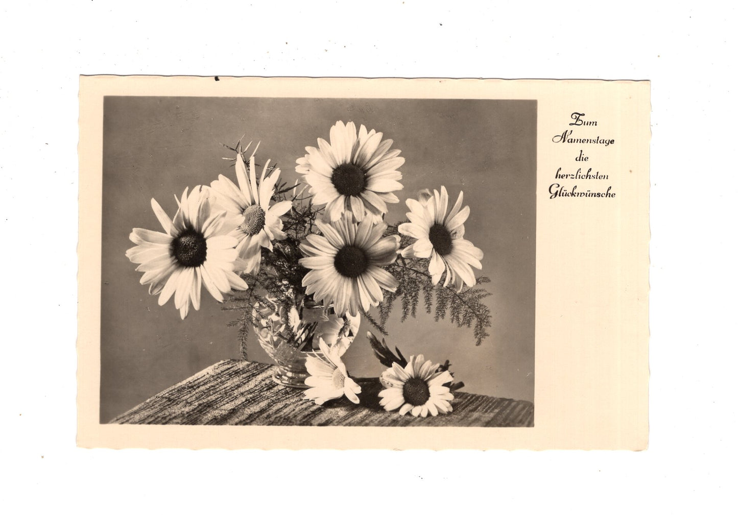 Ansichtskarte Glückwünsche / Glückwunsch zum Namenstag / L1-63