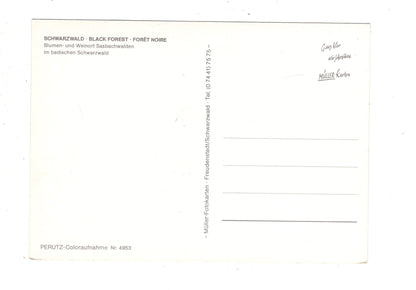 Ansichtskarte Sasbachwalden im badischen Schwarzwald / K1-48