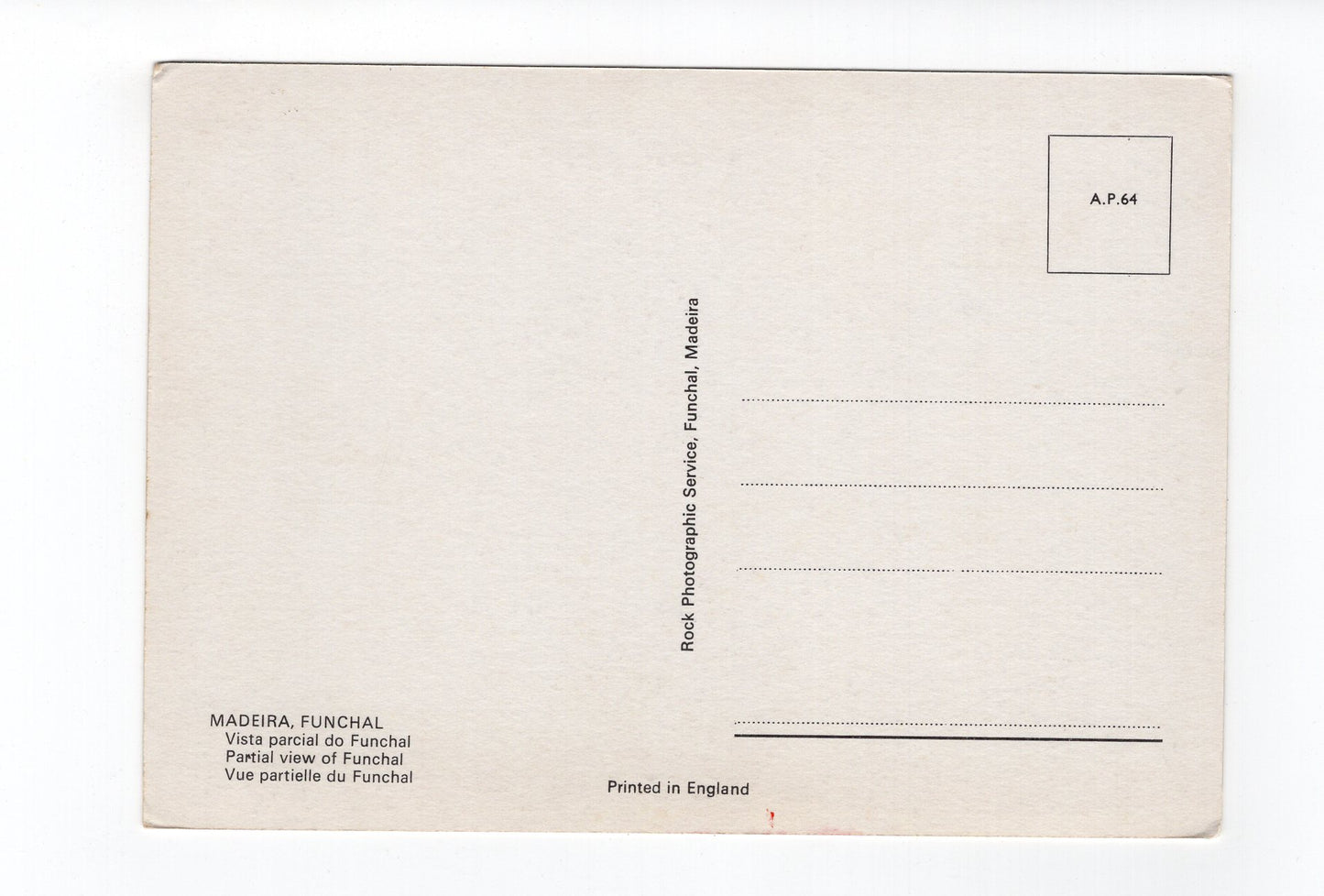 Ansichtskarte Madeira / Funchal / Portugal